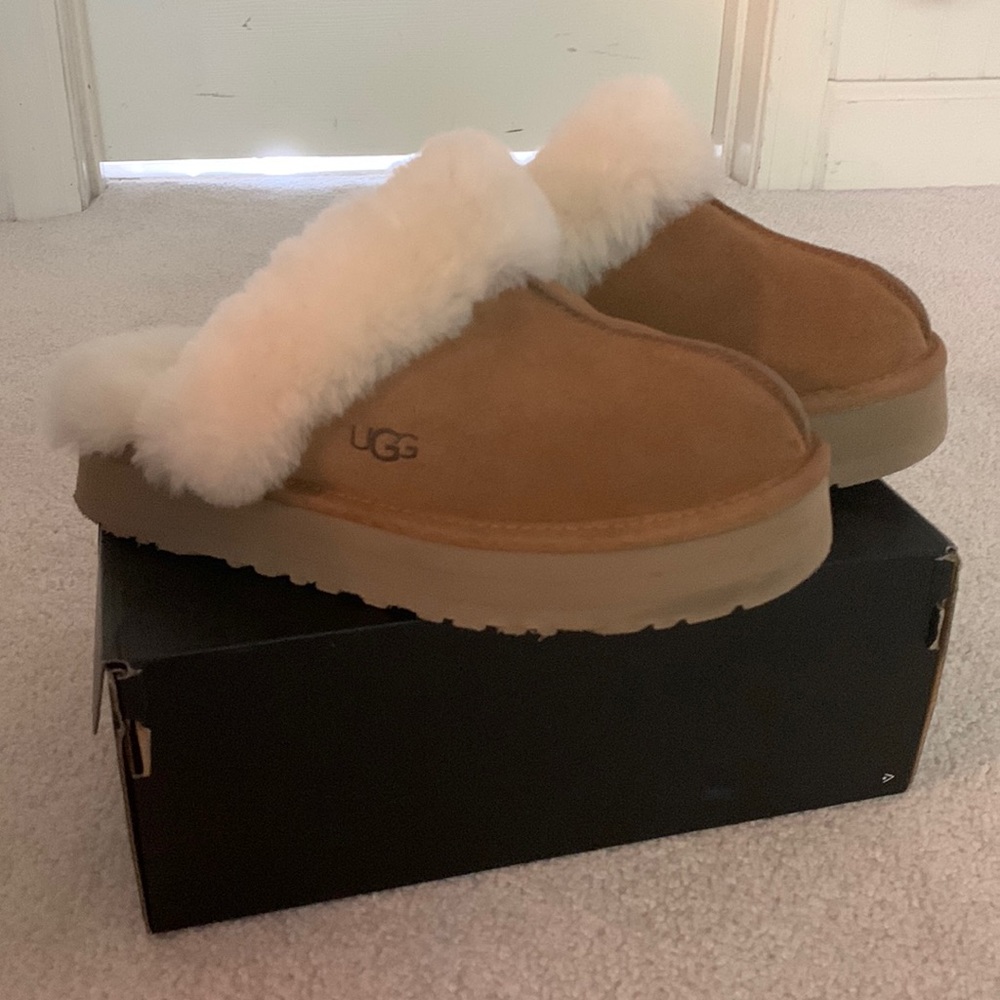 UGG PLatform Women Disquette Chestnut